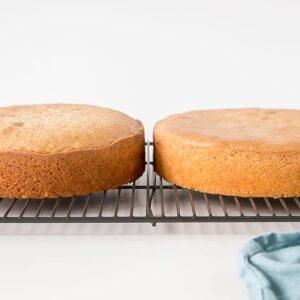 Kylbox för kylning och glasering kratka-do-studzenia-biszkopt-2