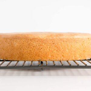 Kylbox för kylning och glasering kratka-do-studzenia-biszkopt